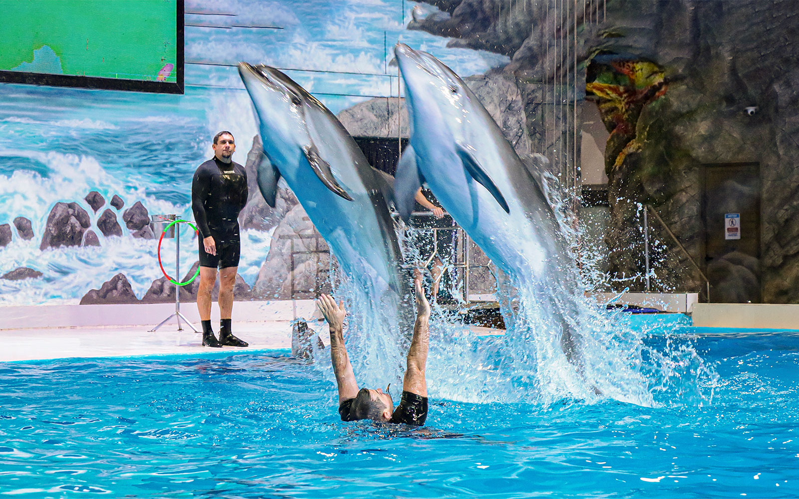 Dubai Dolphinarium